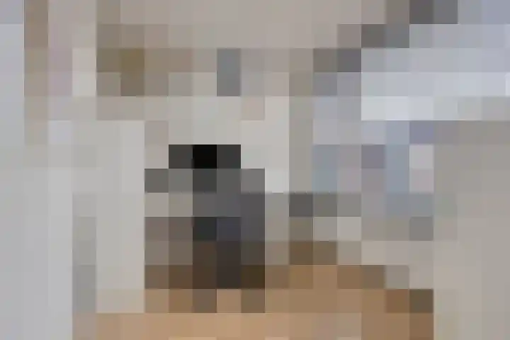 Berkenstraat 7 Drunen thumbnail 35