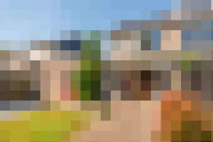 Berkenstraat 7 Winkel thumbnail 5