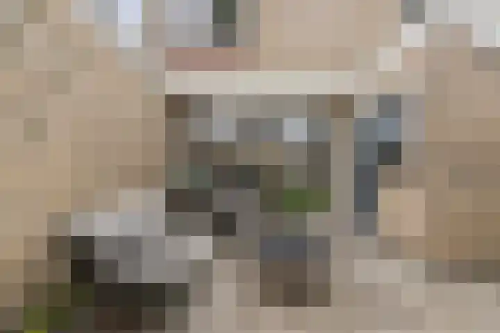 Berkenstraat 9 Huissen thumbnail 10