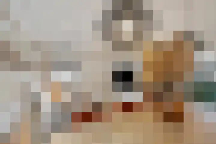 Berkenstraat 9 Huissen thumbnail 4
