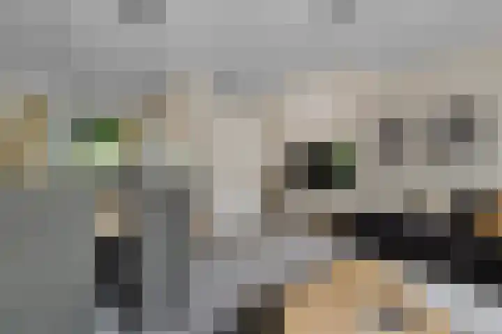 Berkenven 12 Enschede thumbnail 10