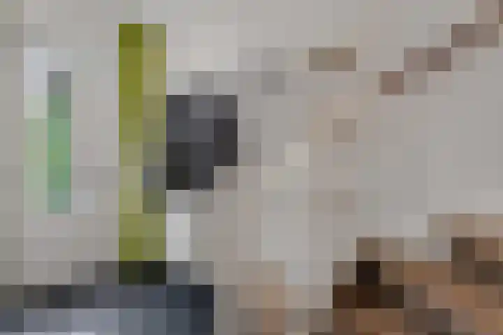 Berkenven 12 Enschede thumbnail 16