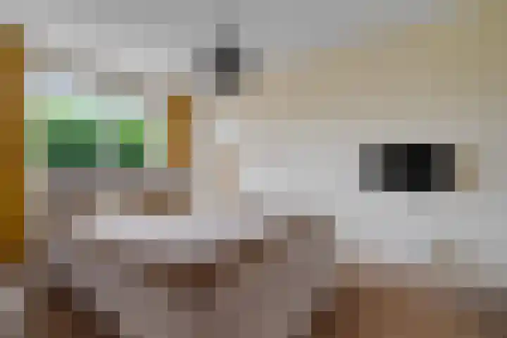 Berkenven 12 Enschede thumbnail 17