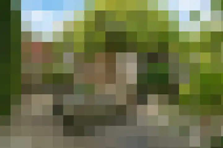 Berkenven 12 Enschede thumbnail 32