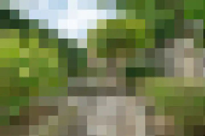 Berkenven 12 Enschede thumbnail 37