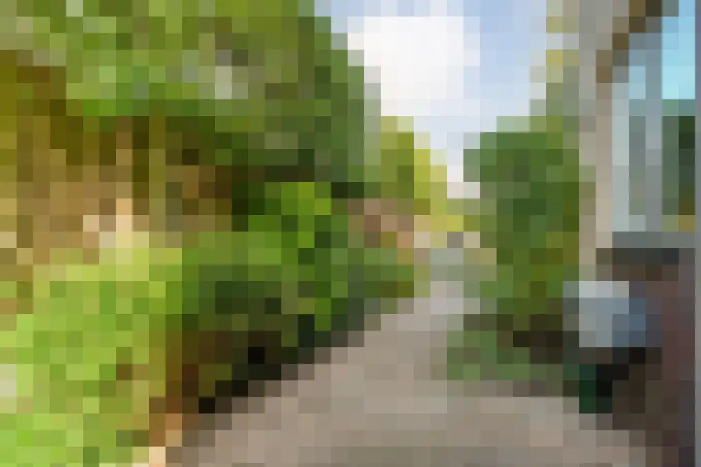 Berkenven 31 Enschede thumbnail 44