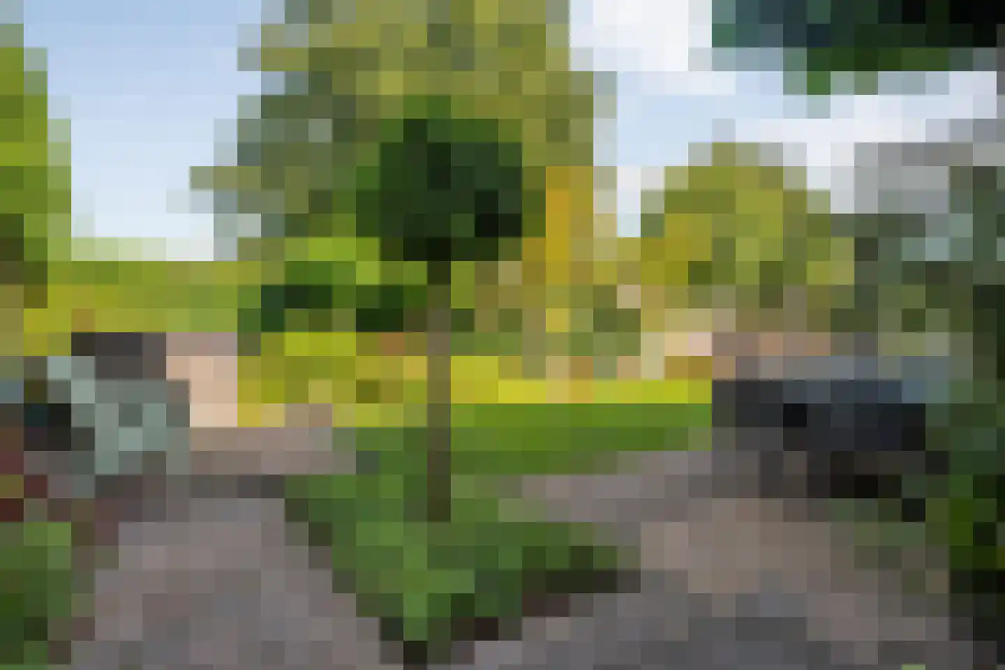 Berkenven 31 Enschede thumbnail 45