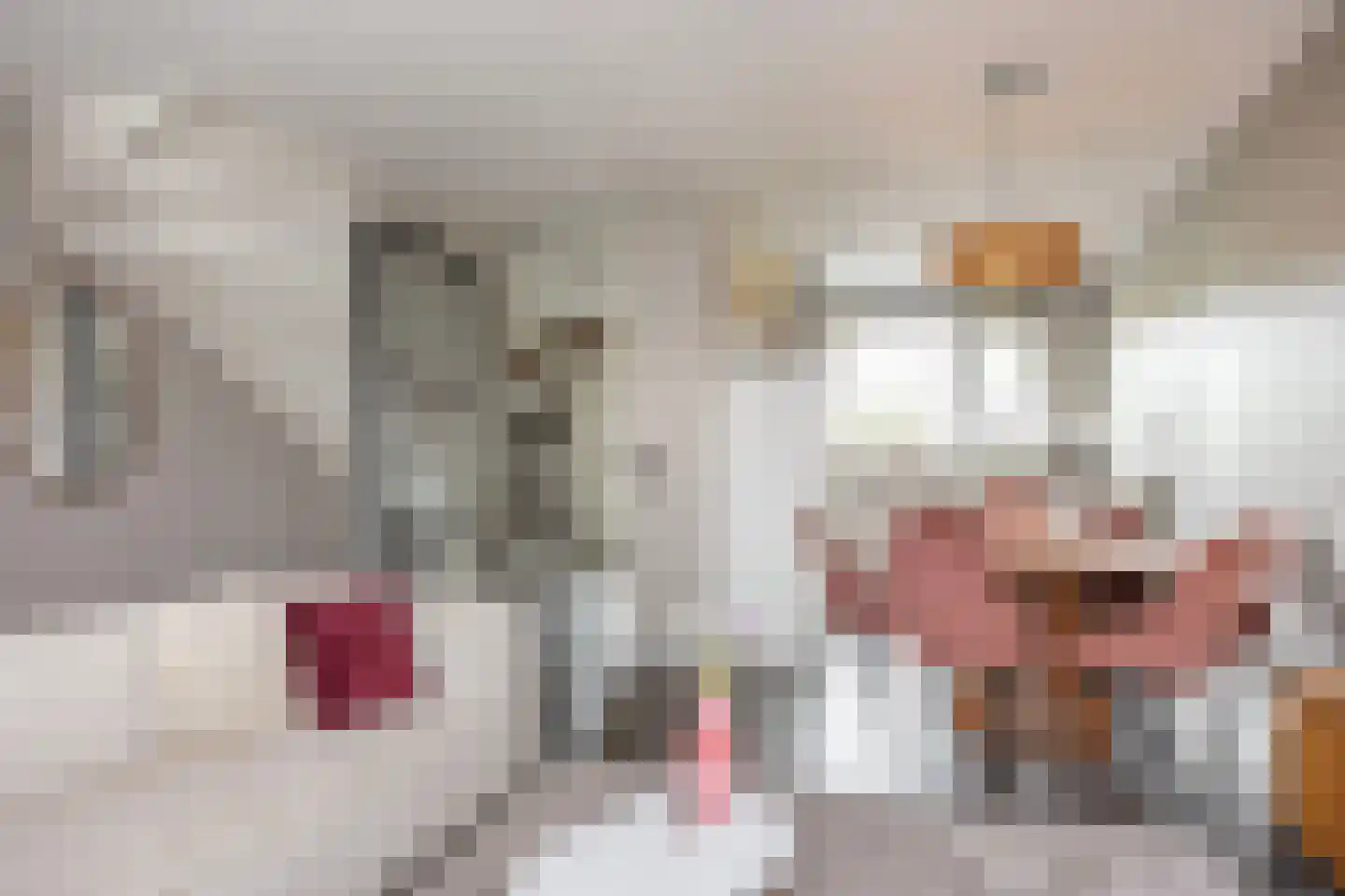 Berkenven 5 Enschede thumbnail 10