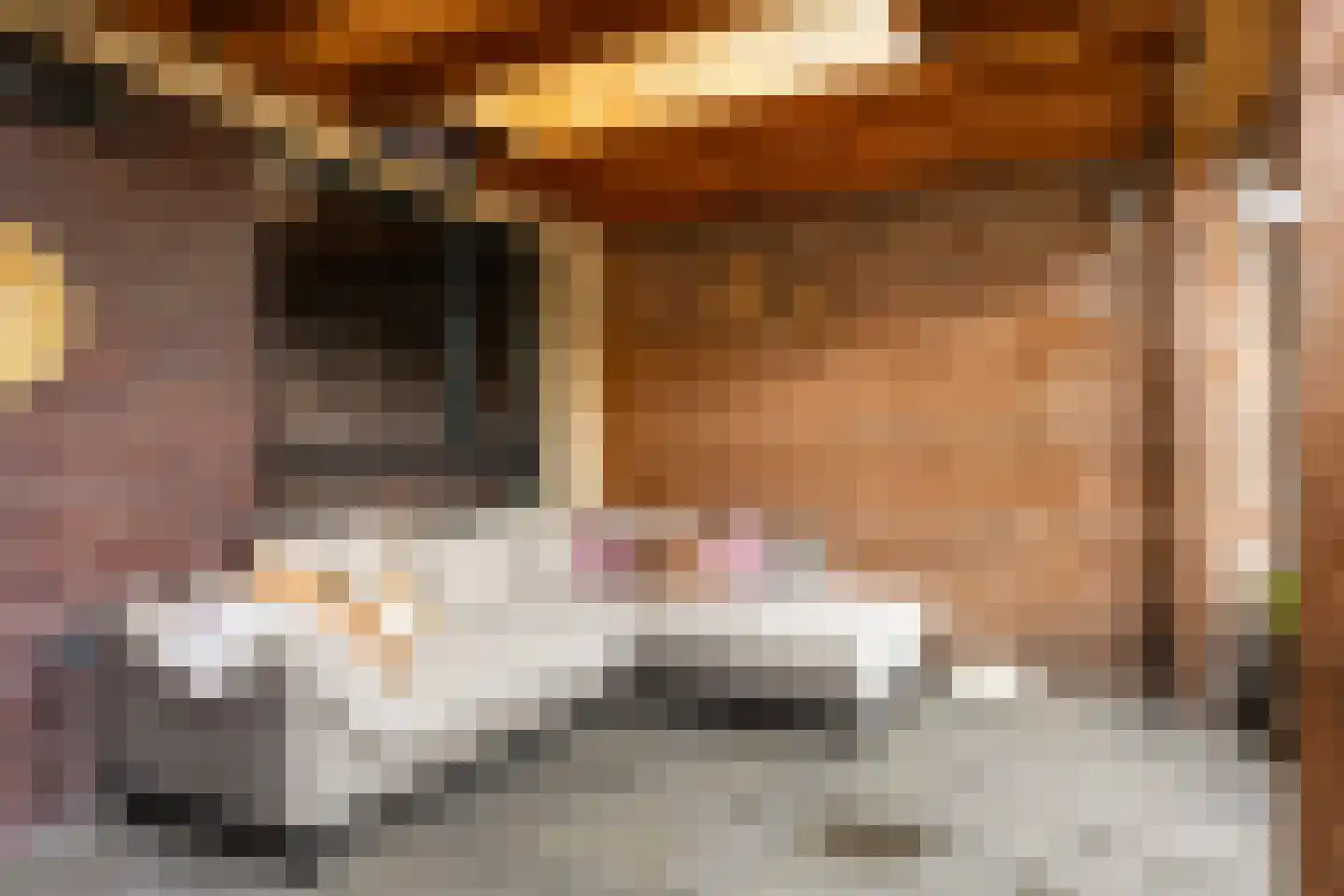 Berkenven 5 Enschede thumbnail 26