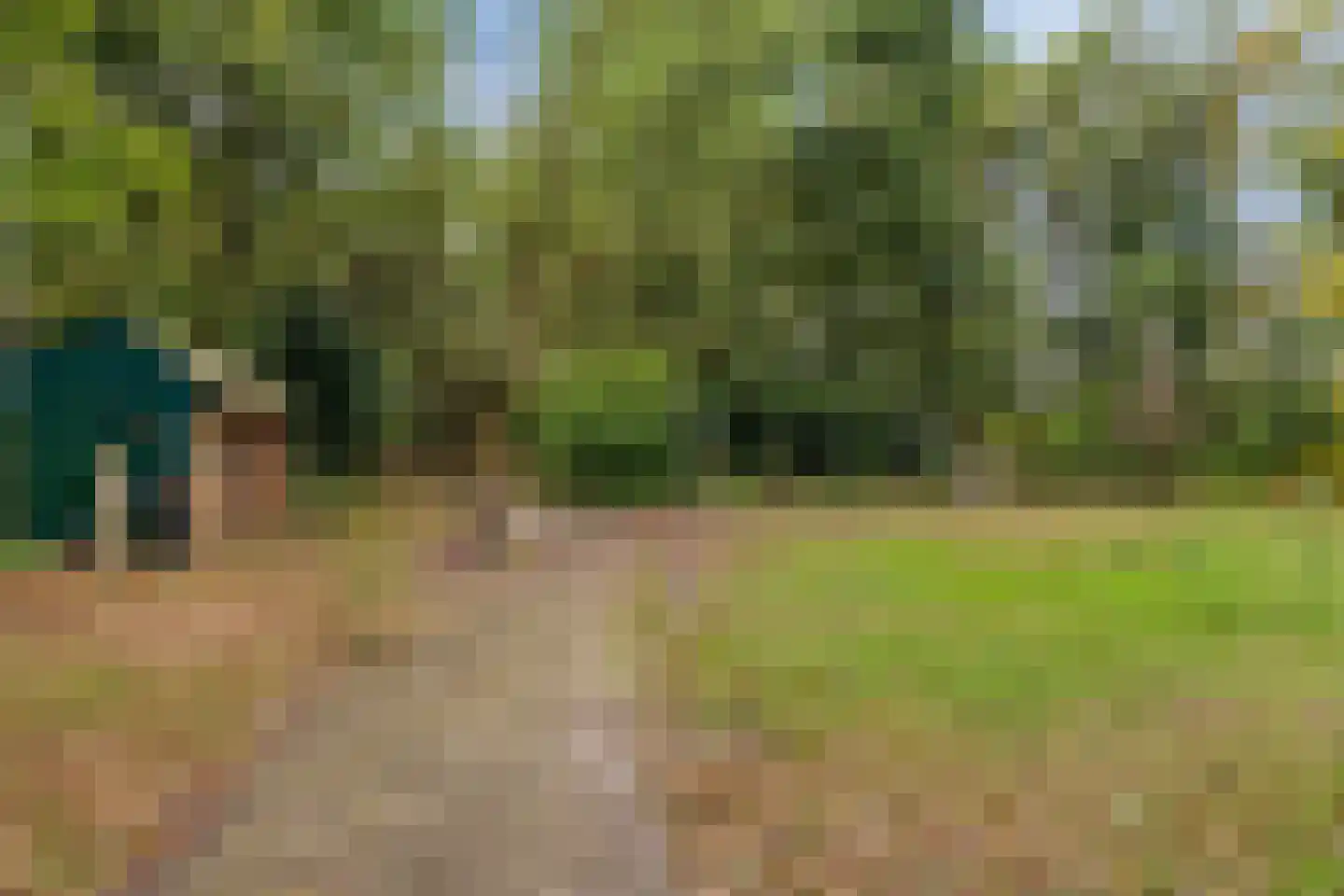 Berkenvenseweg 1 c Heeswijk-Dinther thumbnail 16