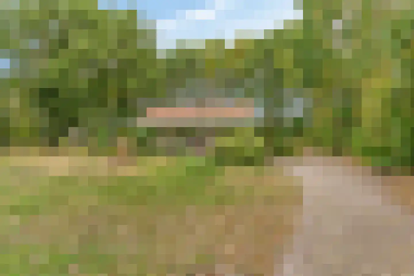 Berkenvenseweg 1 c Heeswijk-Dinther thumbnail 17