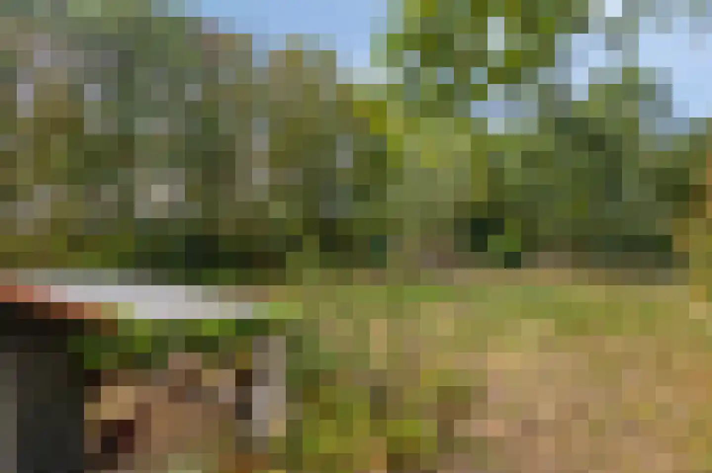 Berkenvenseweg 1 c Heeswijk-Dinther thumbnail 18