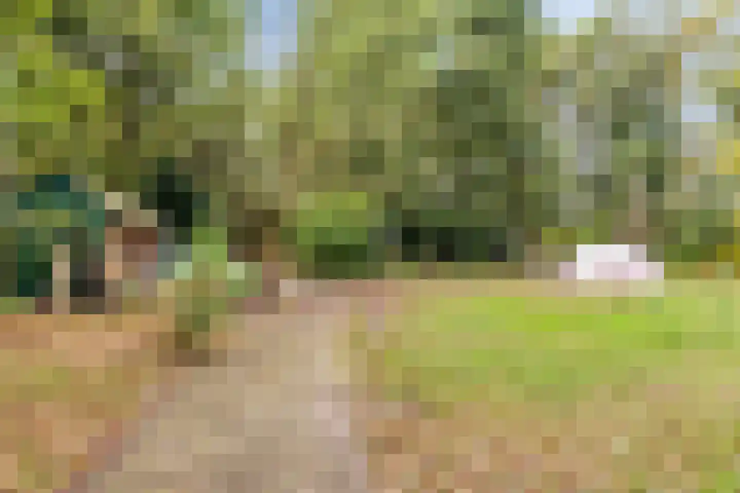 Berkenvenseweg 1 c Heeswijk-Dinther thumbnail 18
