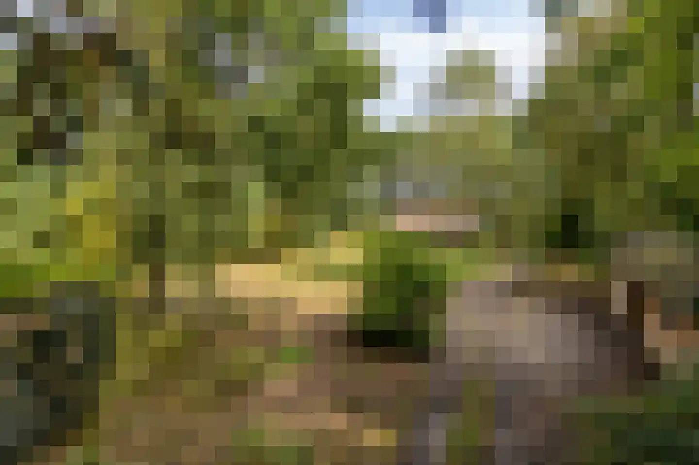 Berkenvenseweg 1 c Heeswijk-Dinther thumbnail 19