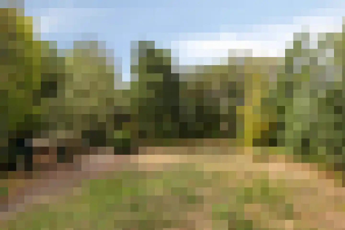 Berkenvenseweg 1 c Heeswijk-Dinther thumbnail 21