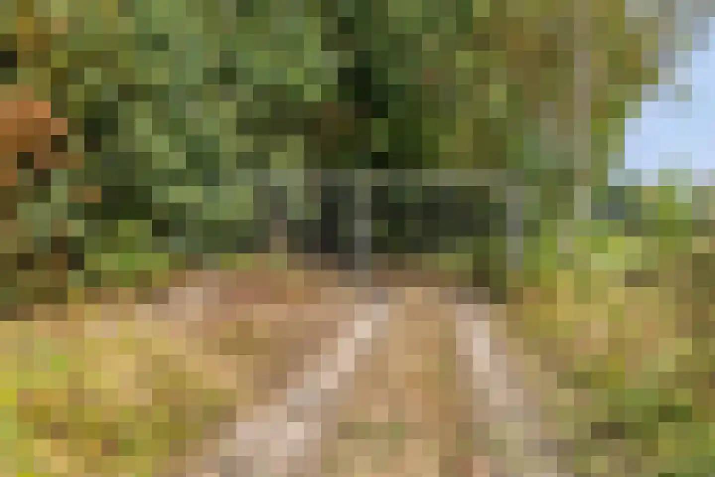 Berkenvenseweg 1 c Heeswijk-Dinther thumbnail 21