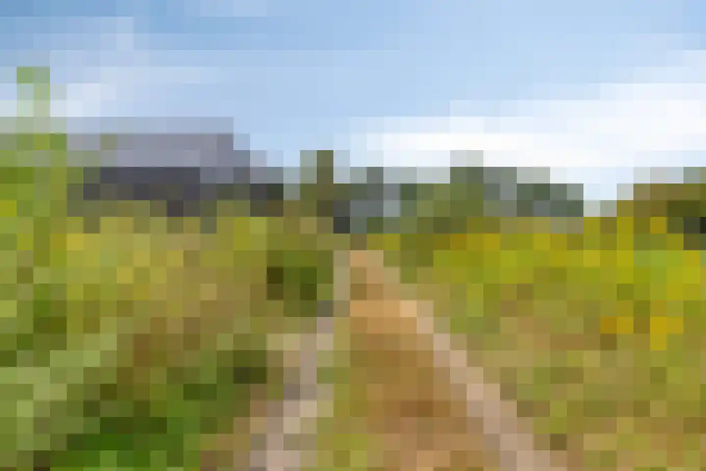 Berkenvenseweg 1 c Heeswijk-Dinther thumbnail 22