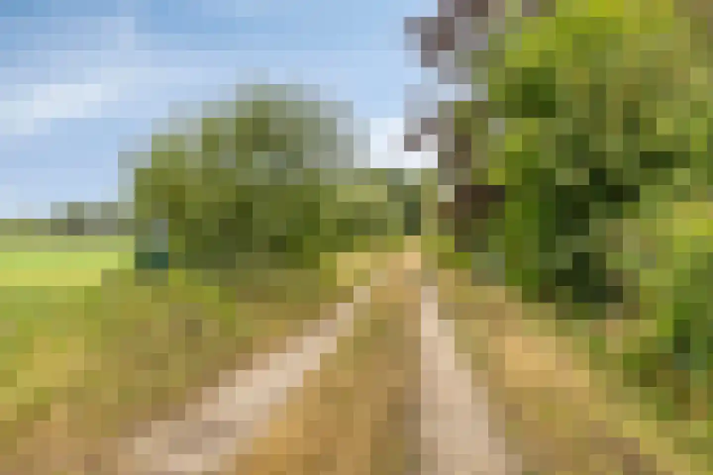 Berkenvenseweg 1 c Heeswijk-Dinther thumbnail 23