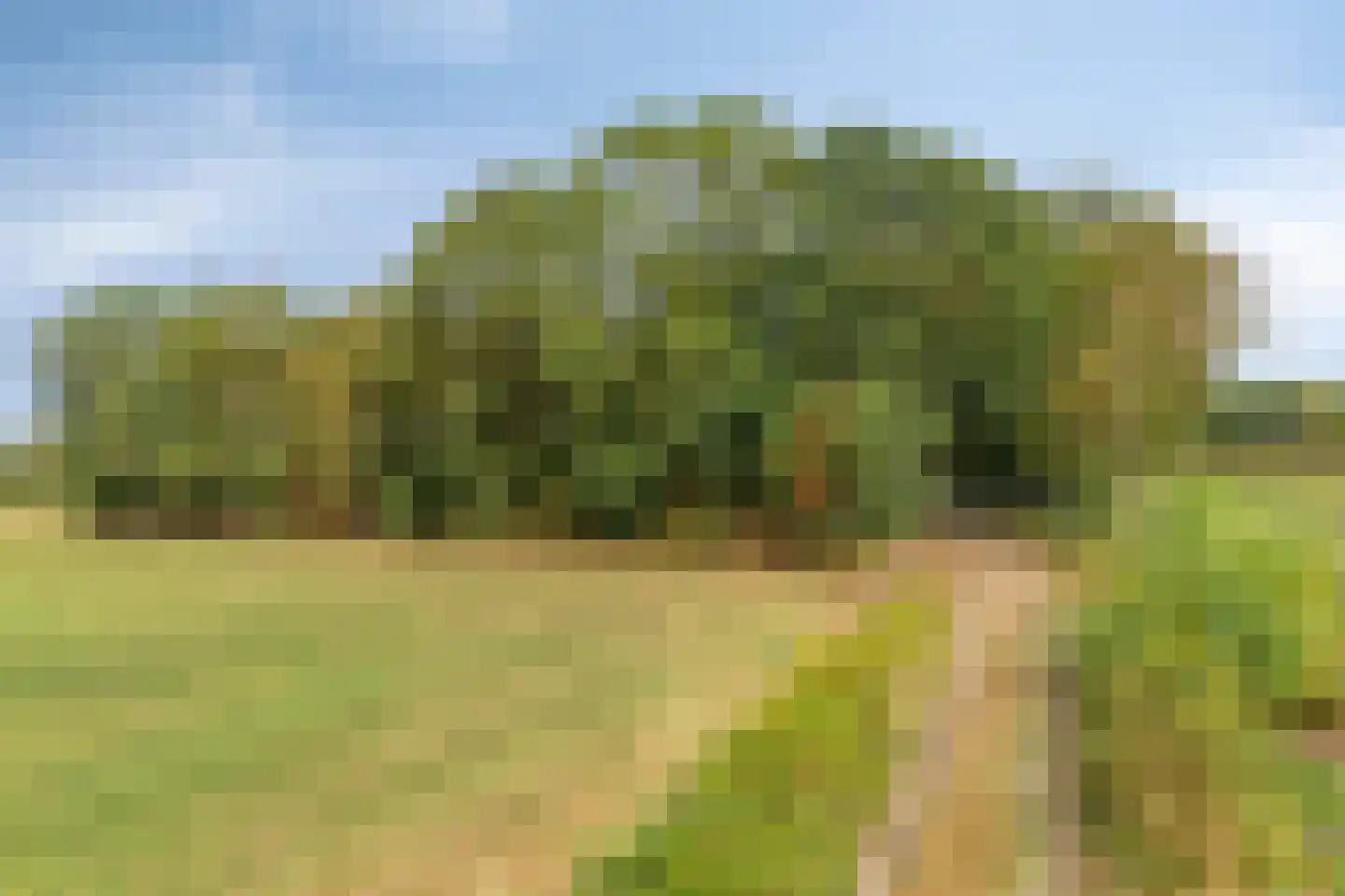 Berkenvenseweg 1 c Heeswijk-Dinther thumbnail 25