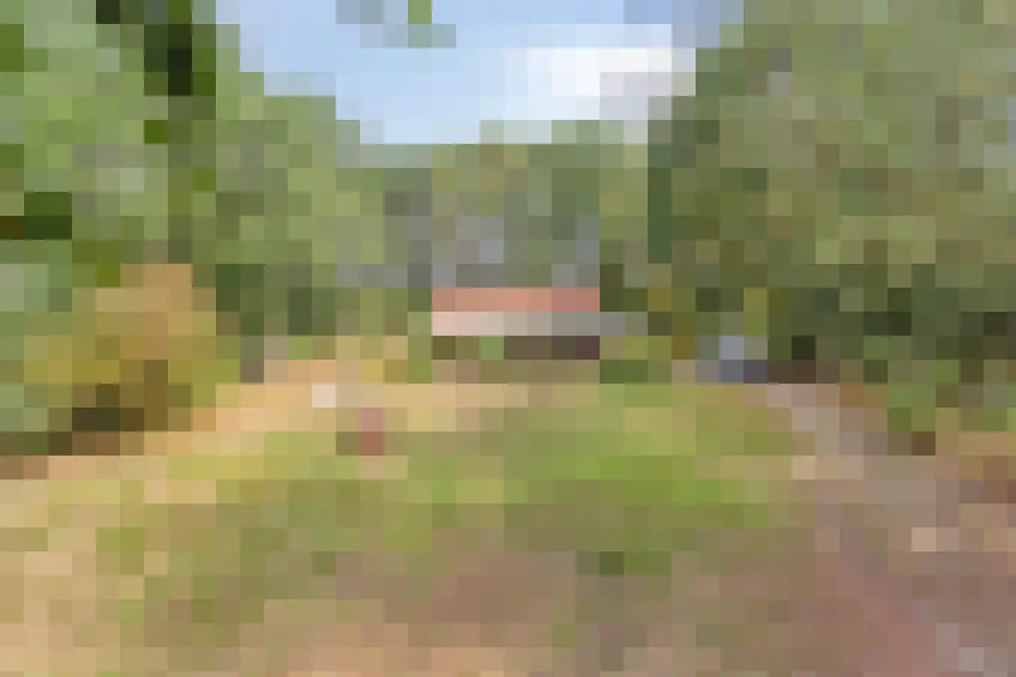 Berkenvenseweg 1 c Heeswijk-Dinther thumbnail 26