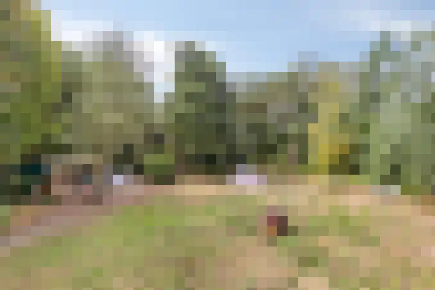 Berkenvenseweg 1 c Heeswijk-Dinther thumbnail 27