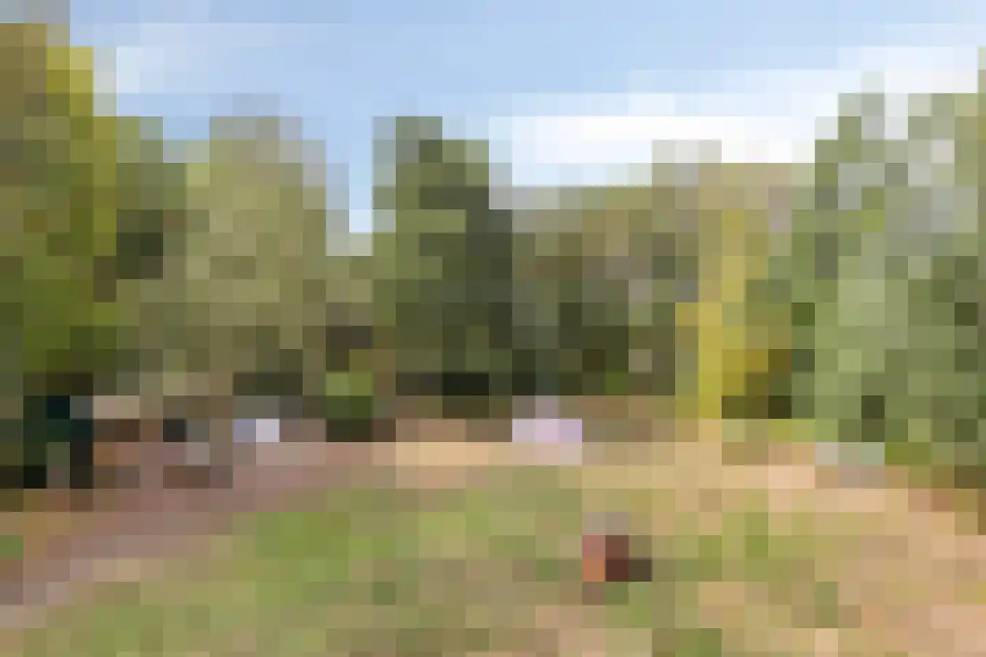 Berkenvenseweg 1 c Heeswijk-Dinther thumbnail 28