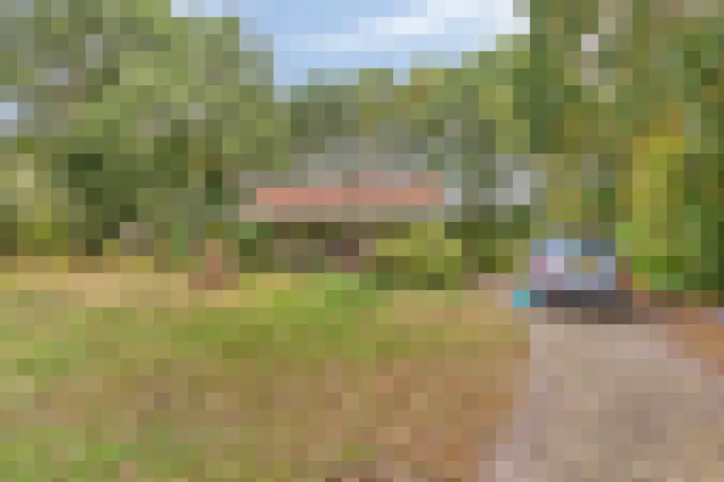 Berkenvenseweg 1 c Heeswijk-Dinther thumbnail 29