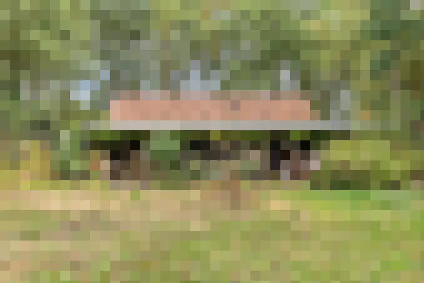 Berkenvenseweg 1 c Heeswijk-Dinther thumbnail 30
