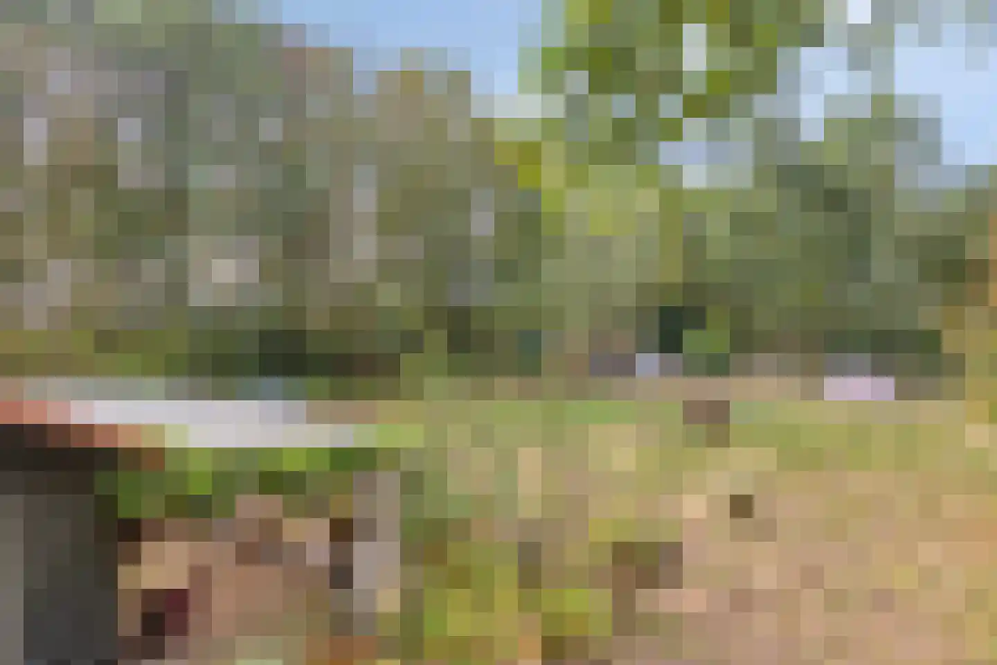 Berkenvenseweg 1 c Heeswijk-Dinther thumbnail 31