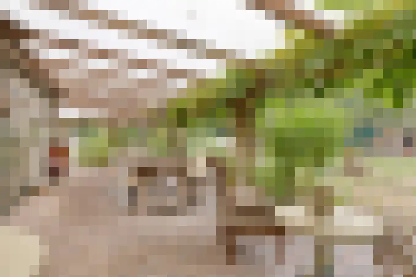 Berkenvenseweg 1 c Heeswijk-Dinther thumbnail 4