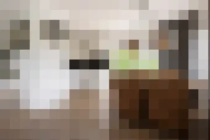 Berkenweg 1 Hoogezand thumbnail 12