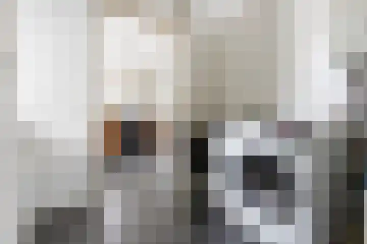 Berkenweg 1 Hoogezand thumbnail 17
