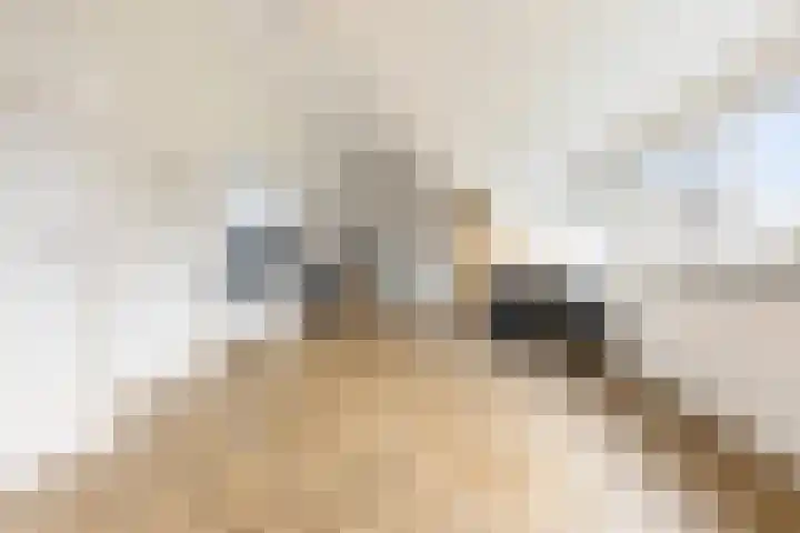 Berkenweg 1 Hoogezand thumbnail 30