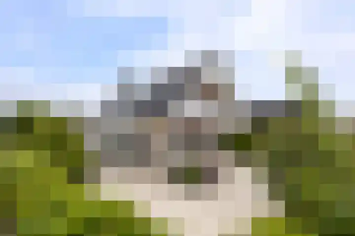 Berkenweg 1 Hoogezand thumbnail 4