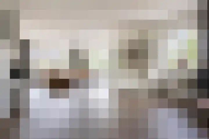 Berkenweg 1 Hoogezand thumbnail 6