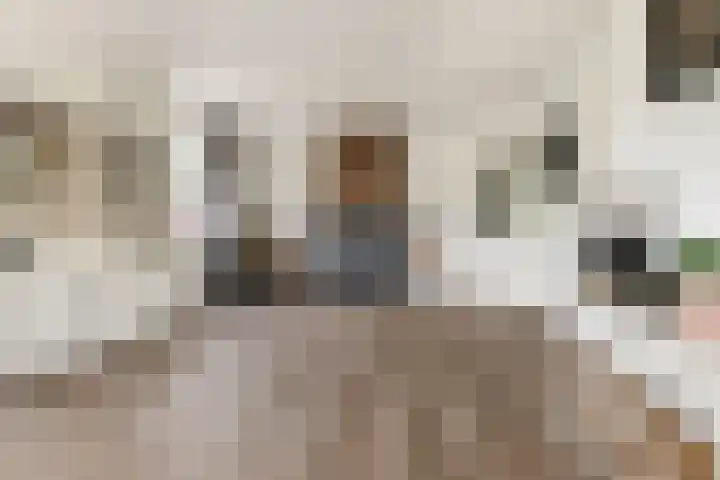 Berkenweg 1 Hoogezand thumbnail 9