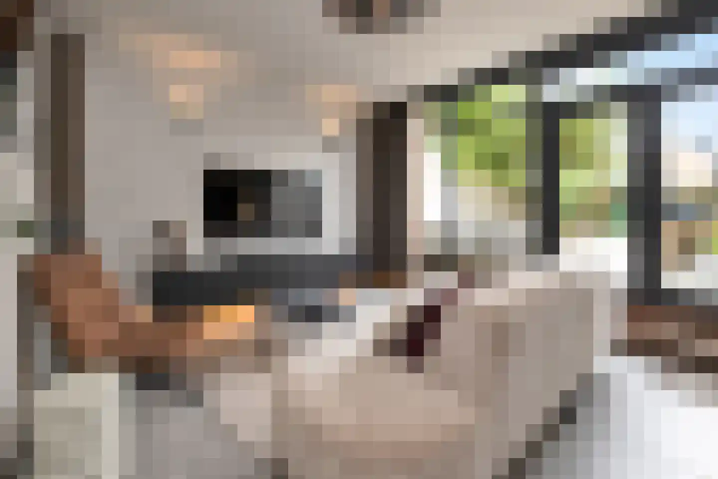 Berkenweg 11 Schagen thumbnail 17
