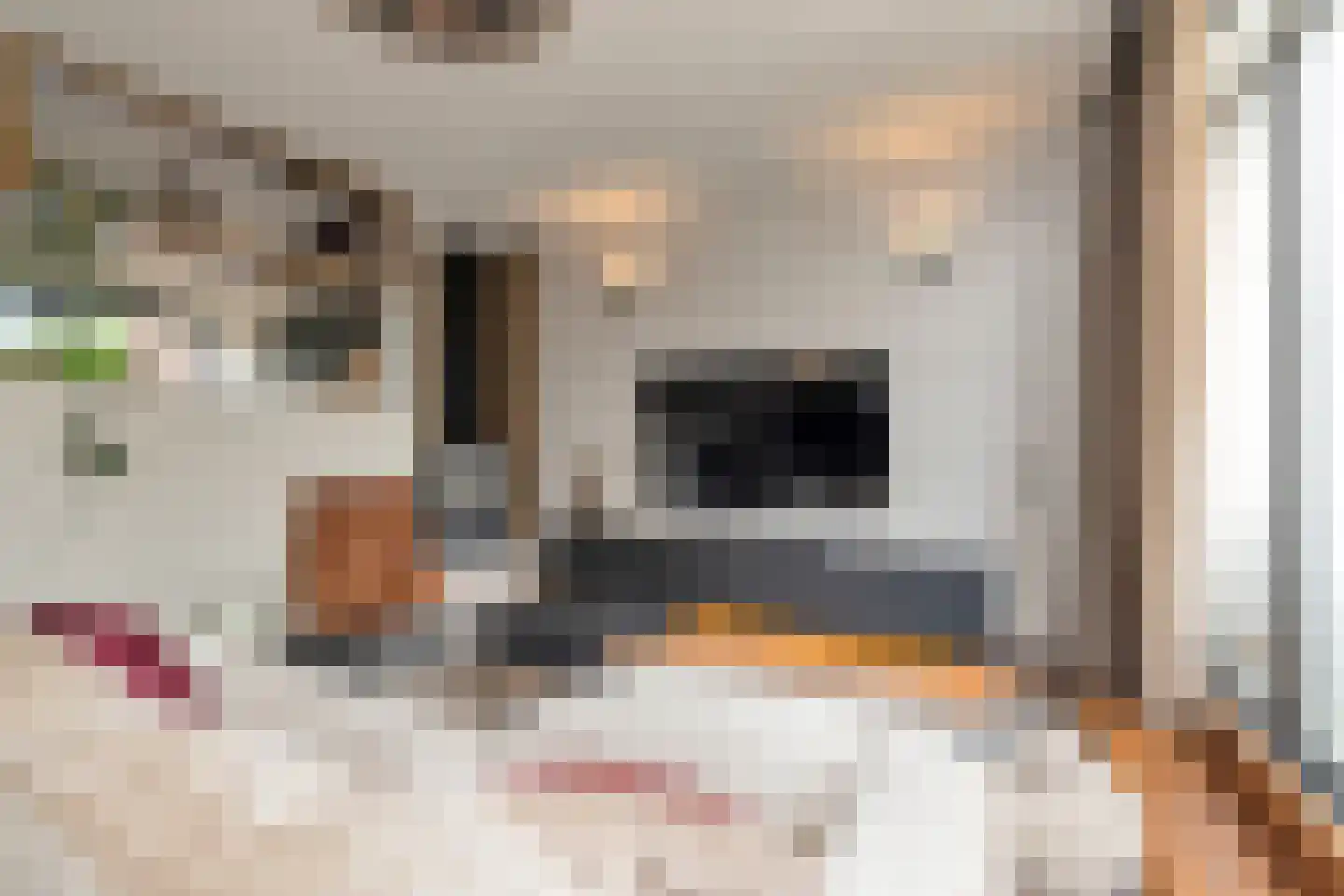 Berkenweg 11 Schagen thumbnail 18