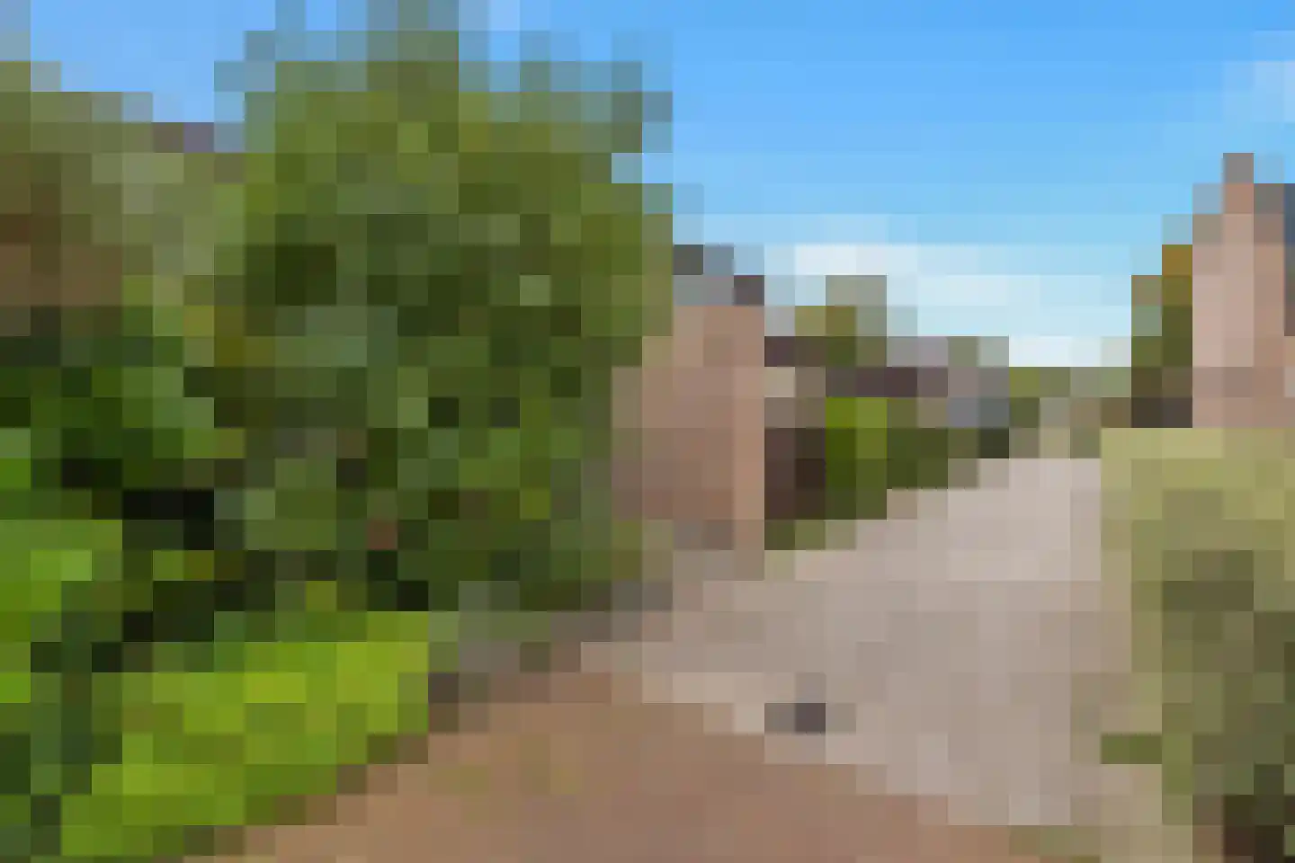 Berkenweg 11 Schagen thumbnail 38