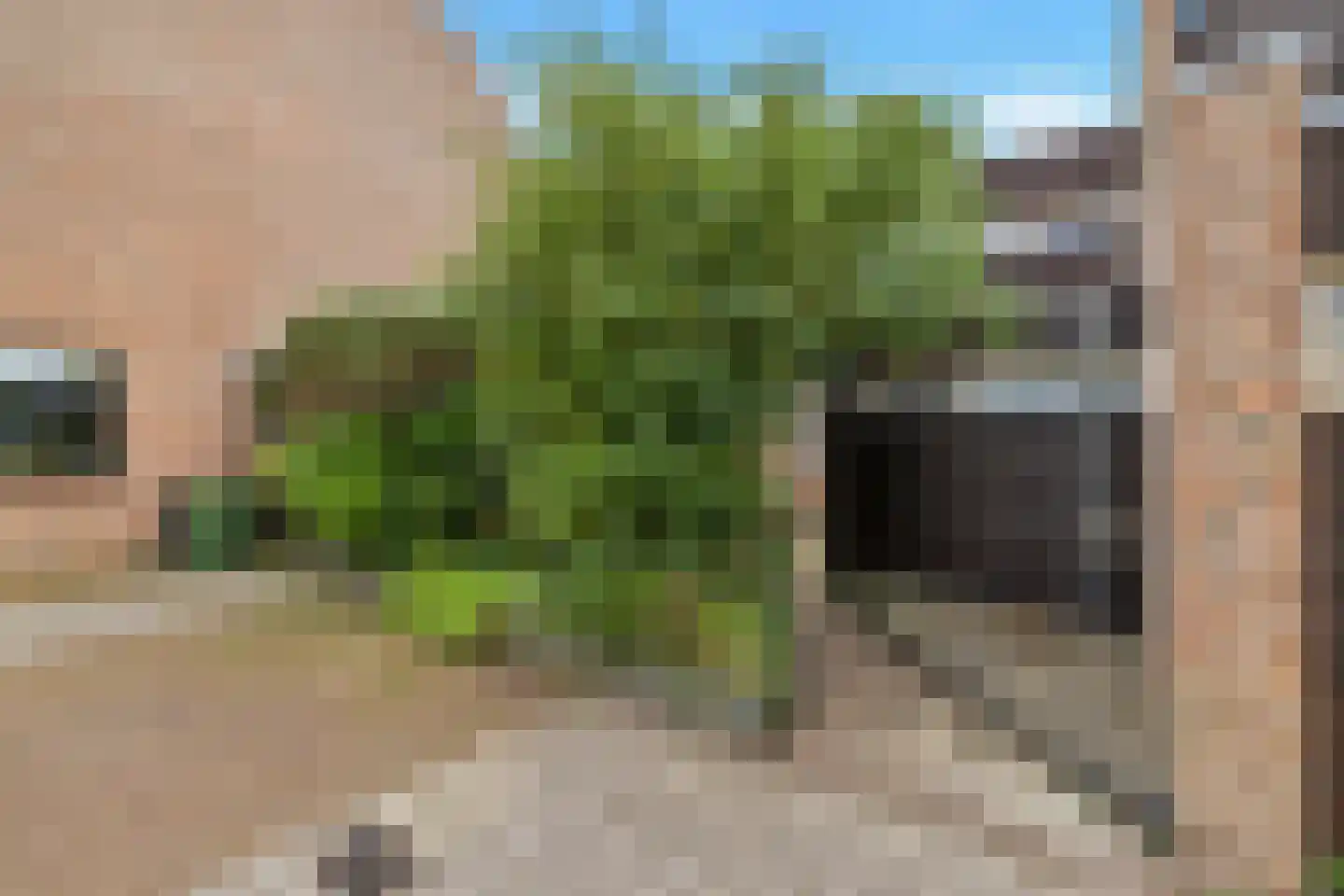 Berkenweg 11 Schagen thumbnail 8
