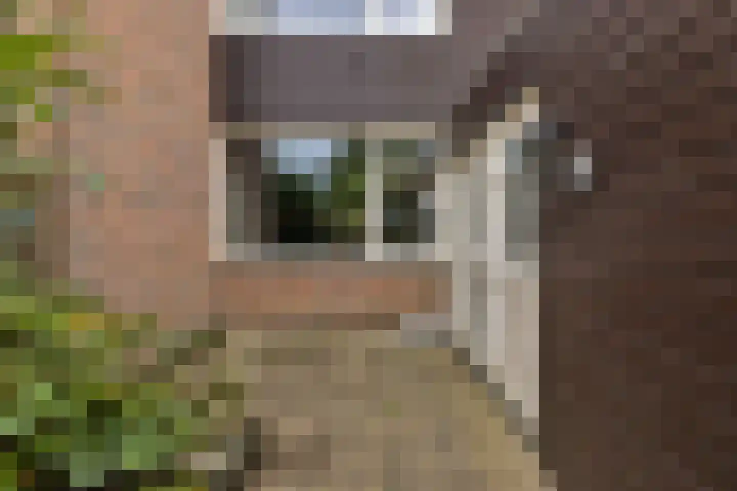 Berkenweg 11 Schagen thumbnail 9