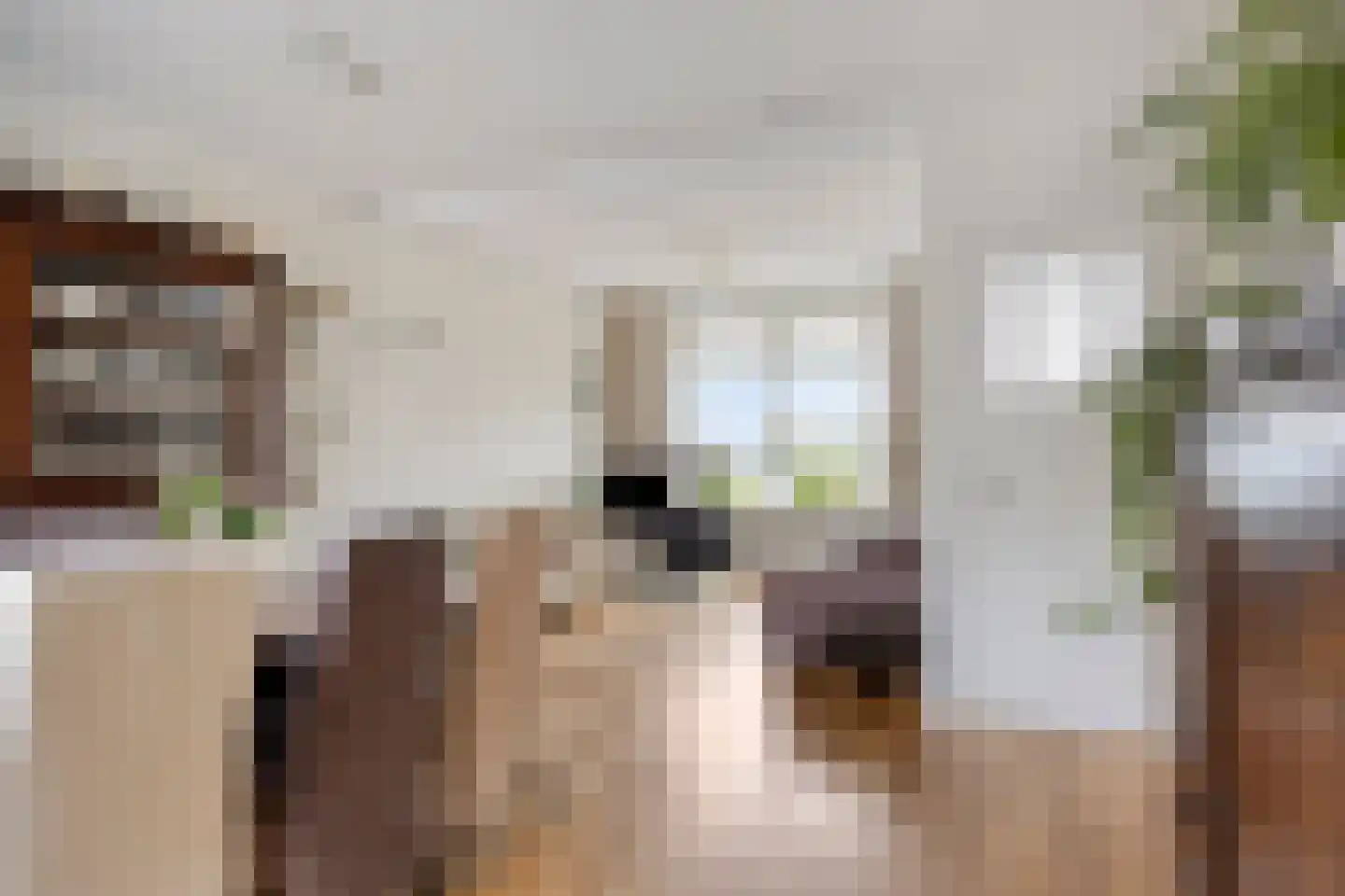 Berkenweg 15 Boskoop thumbnail 10