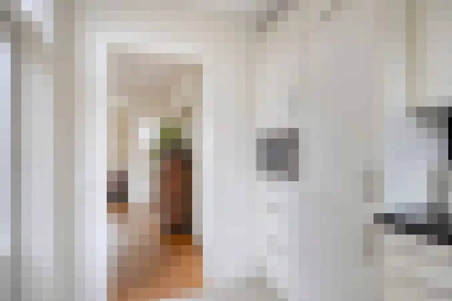 Berkenweg 15 Boskoop thumbnail 12