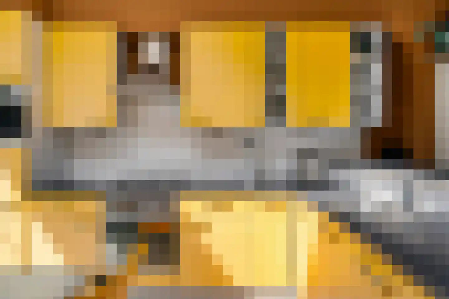Berkenweg 19 Boskoop thumbnail 13