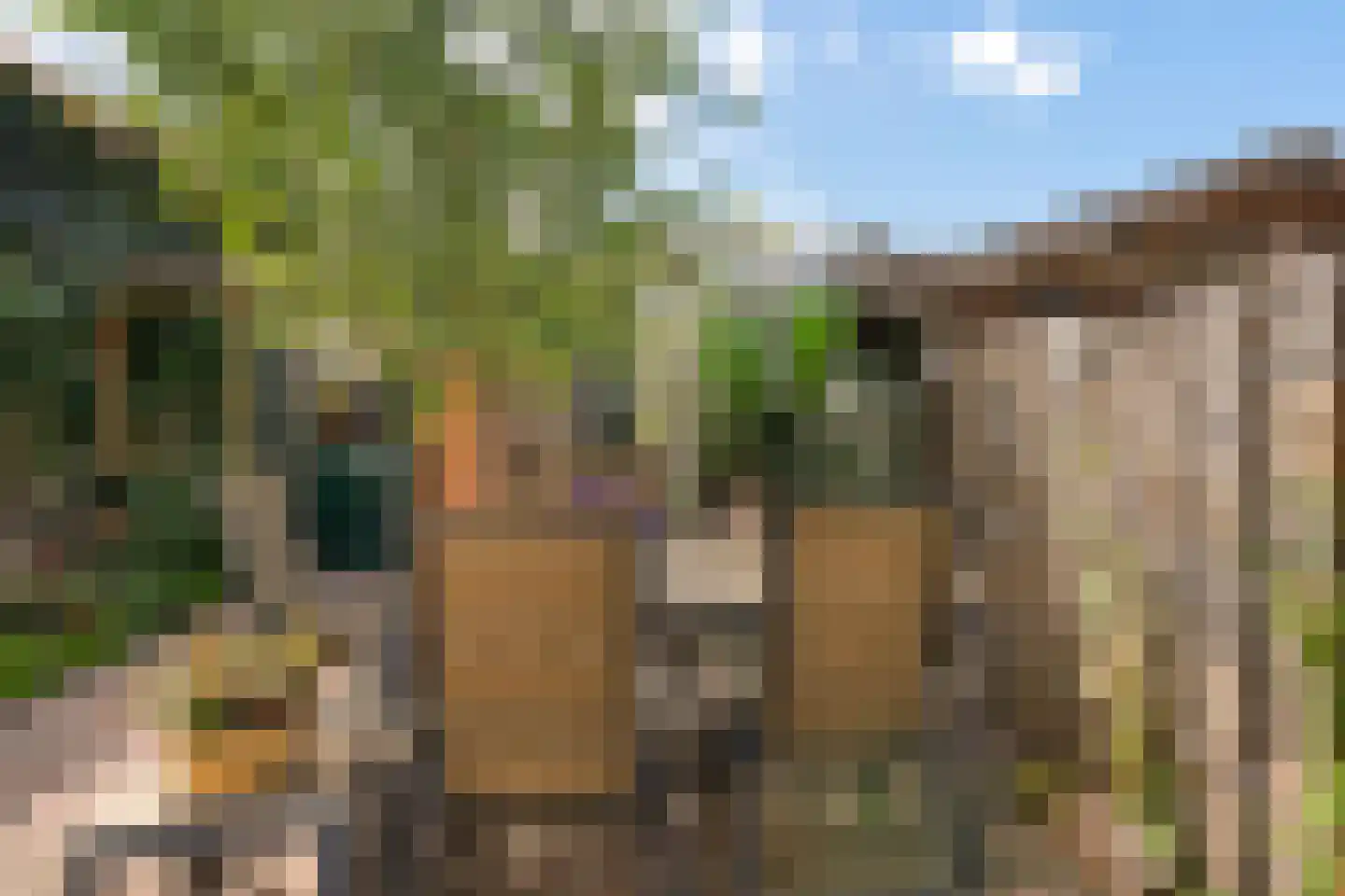 Berkenweg 19 Boskoop thumbnail 15