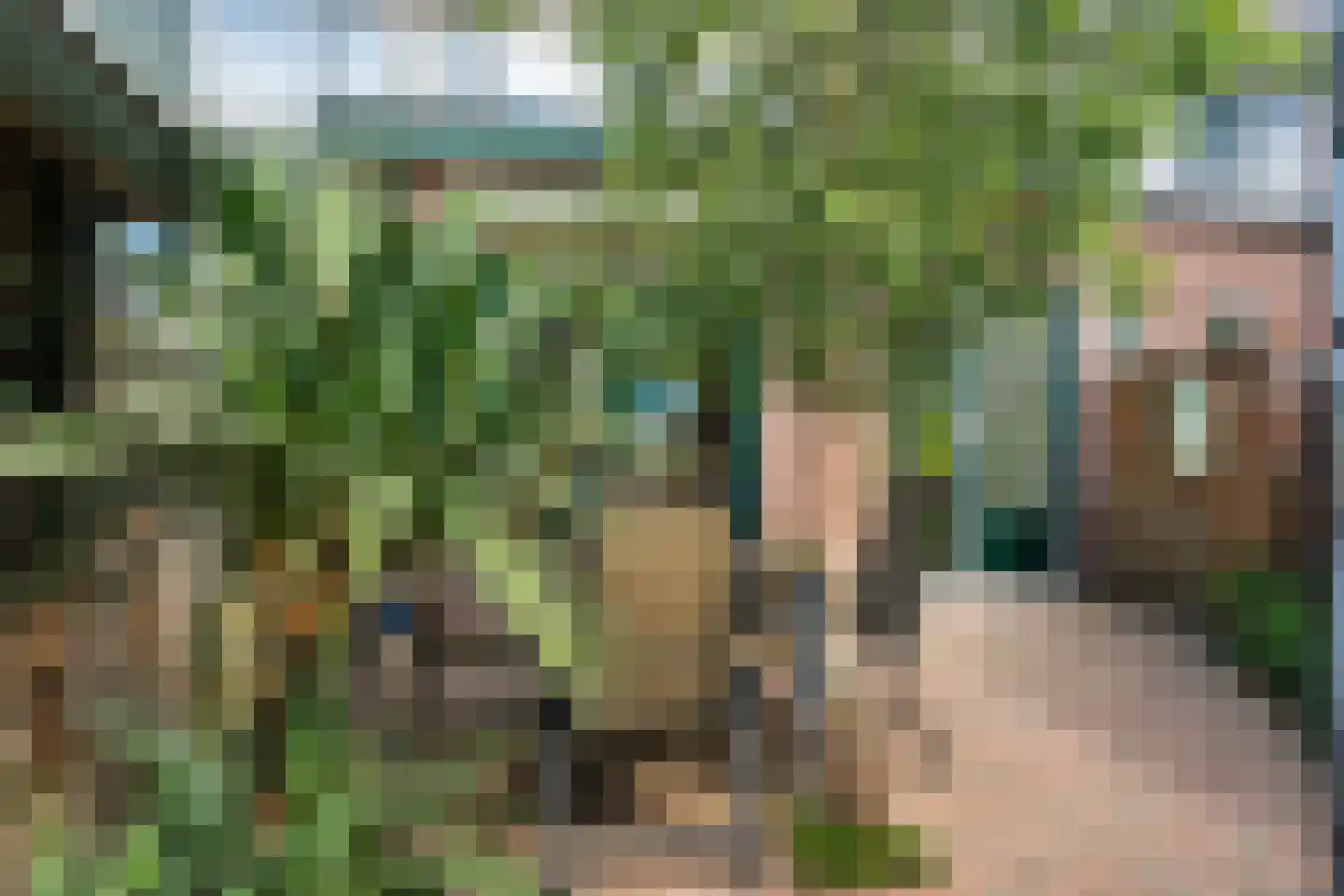 Berkenweg 19 Boskoop thumbnail 20
