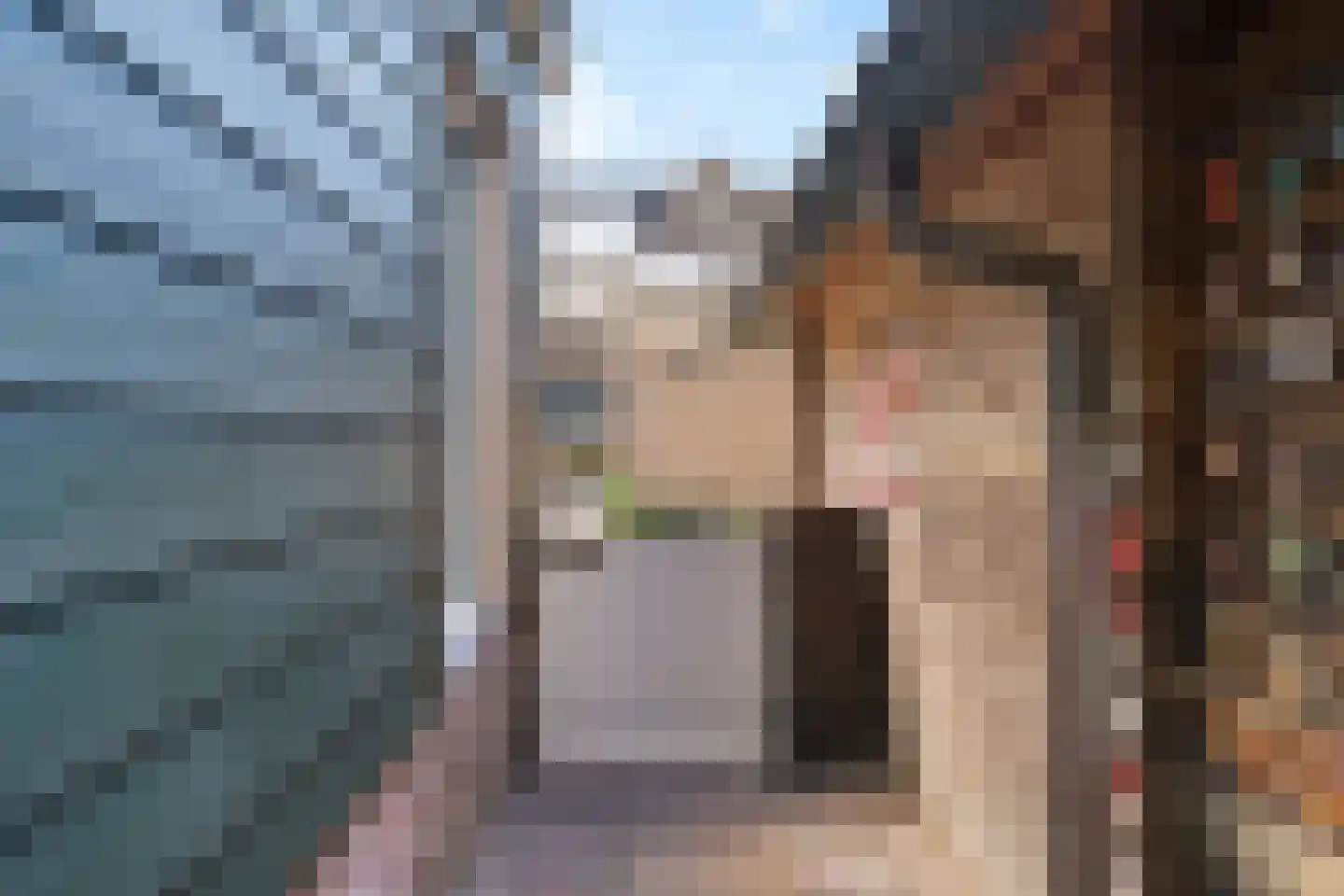 Berkenweg 19 Boskoop thumbnail 21