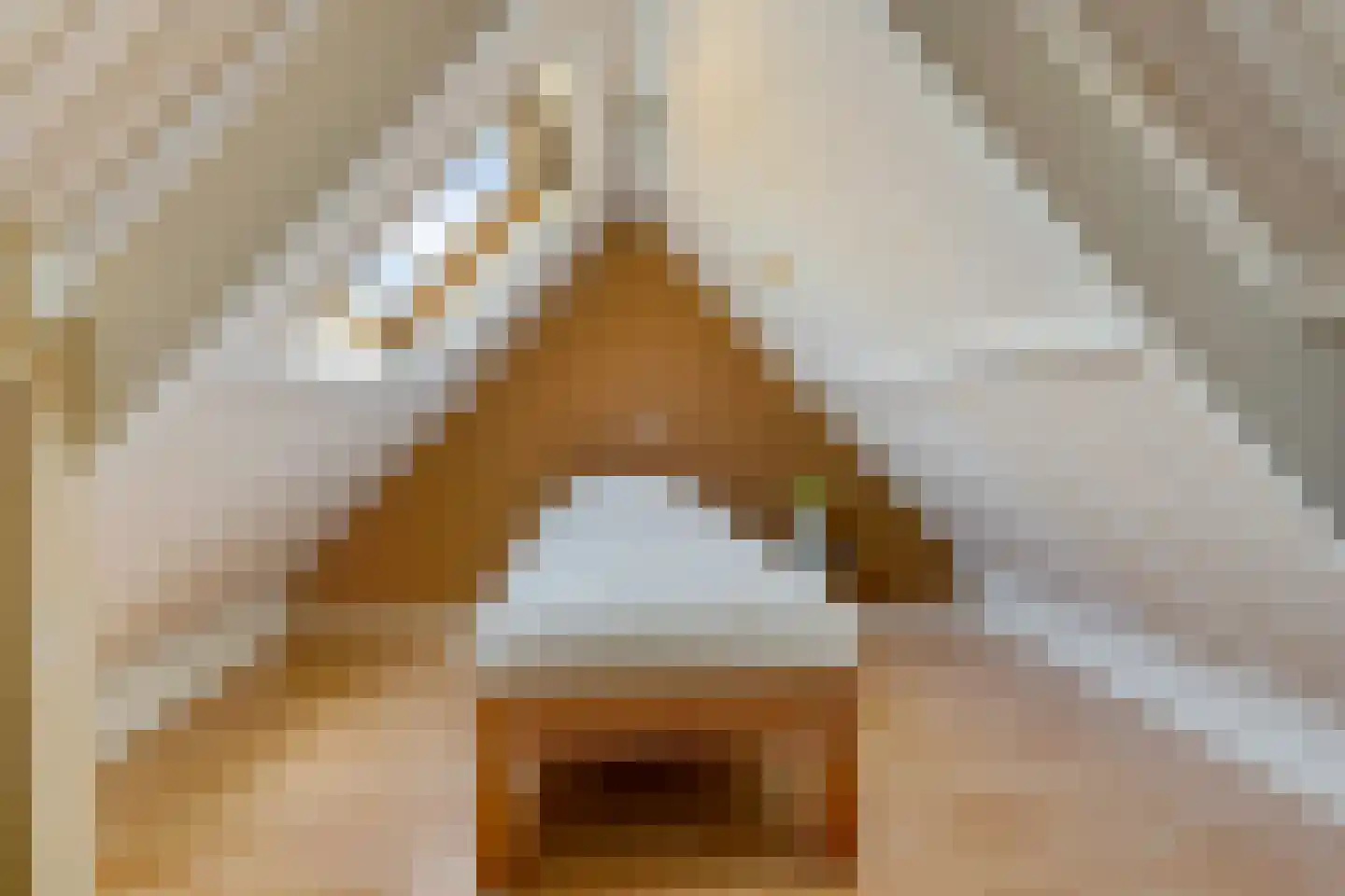 Berkenweg 19 Boskoop thumbnail 37