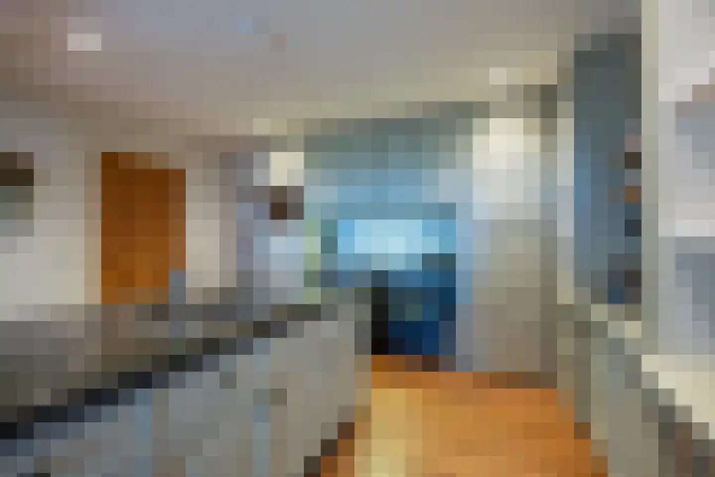 Berkenweg 24 Drijber thumbnail 11