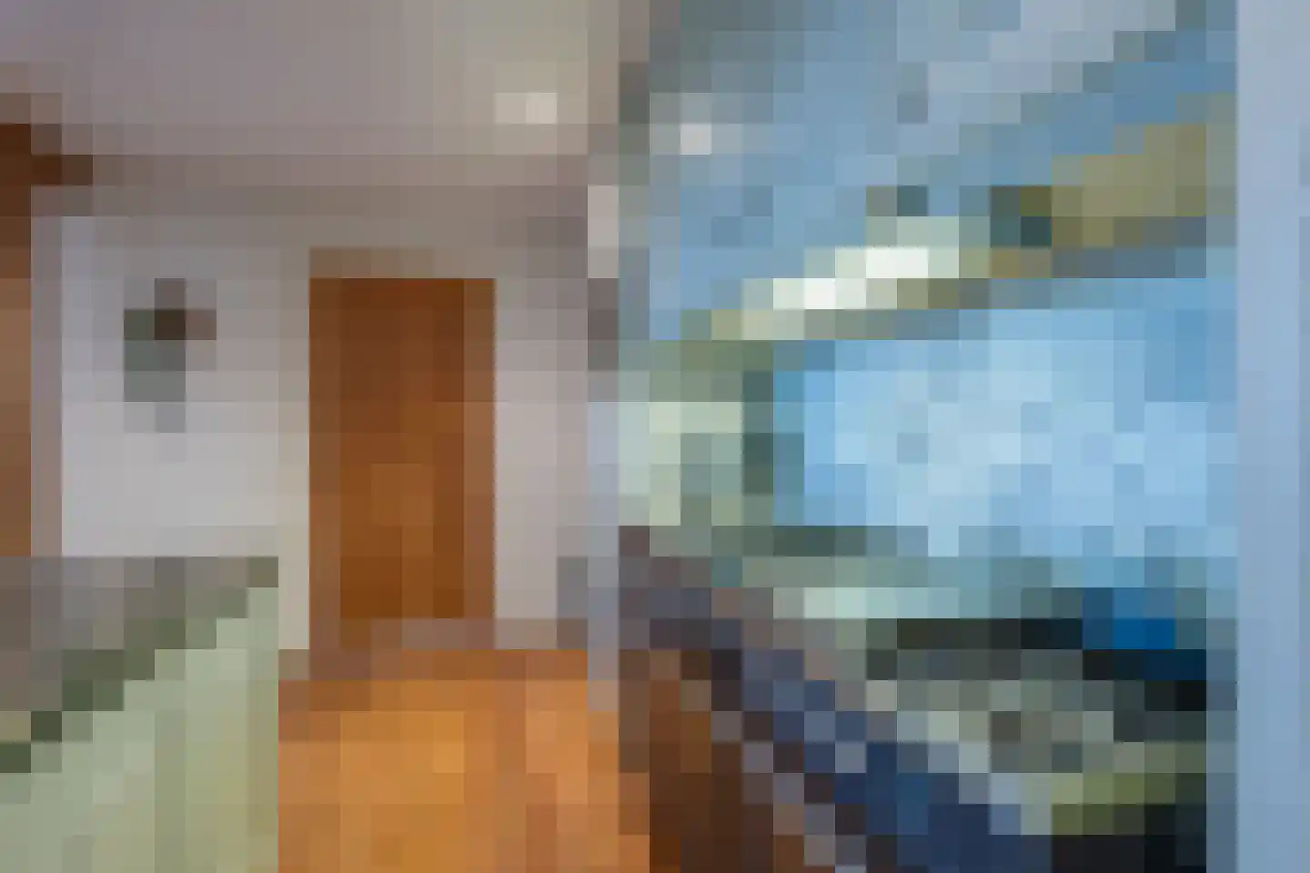 Berkenweg 24 Drijber thumbnail 12